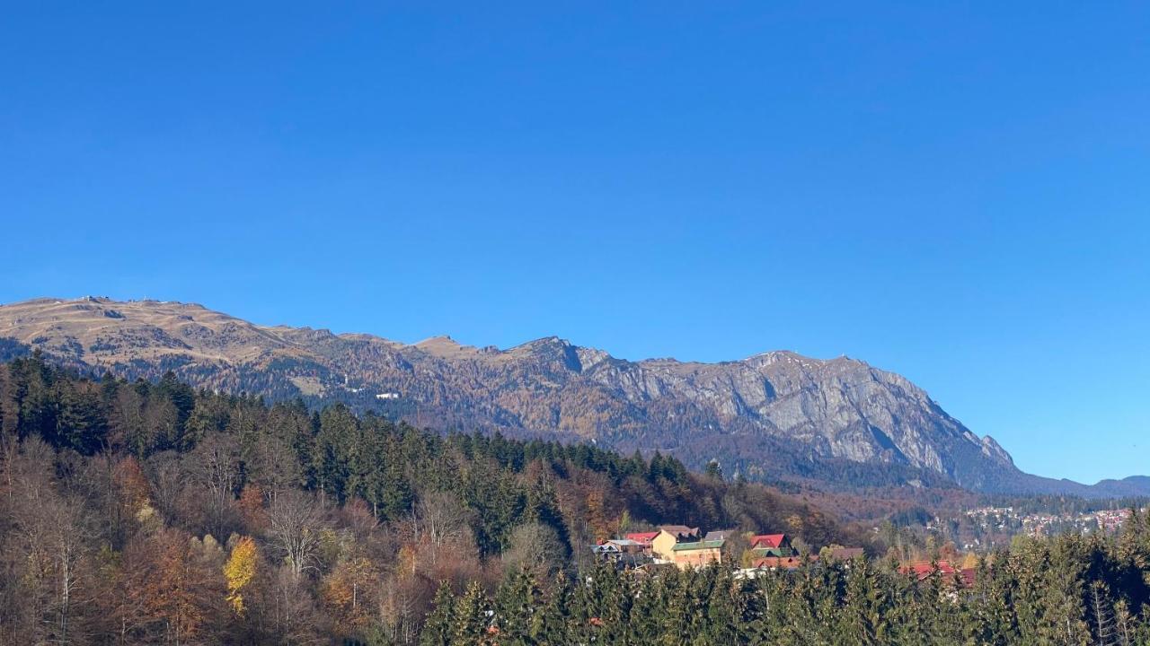 Perfect View Apartment Сіная Екстер'єр фото