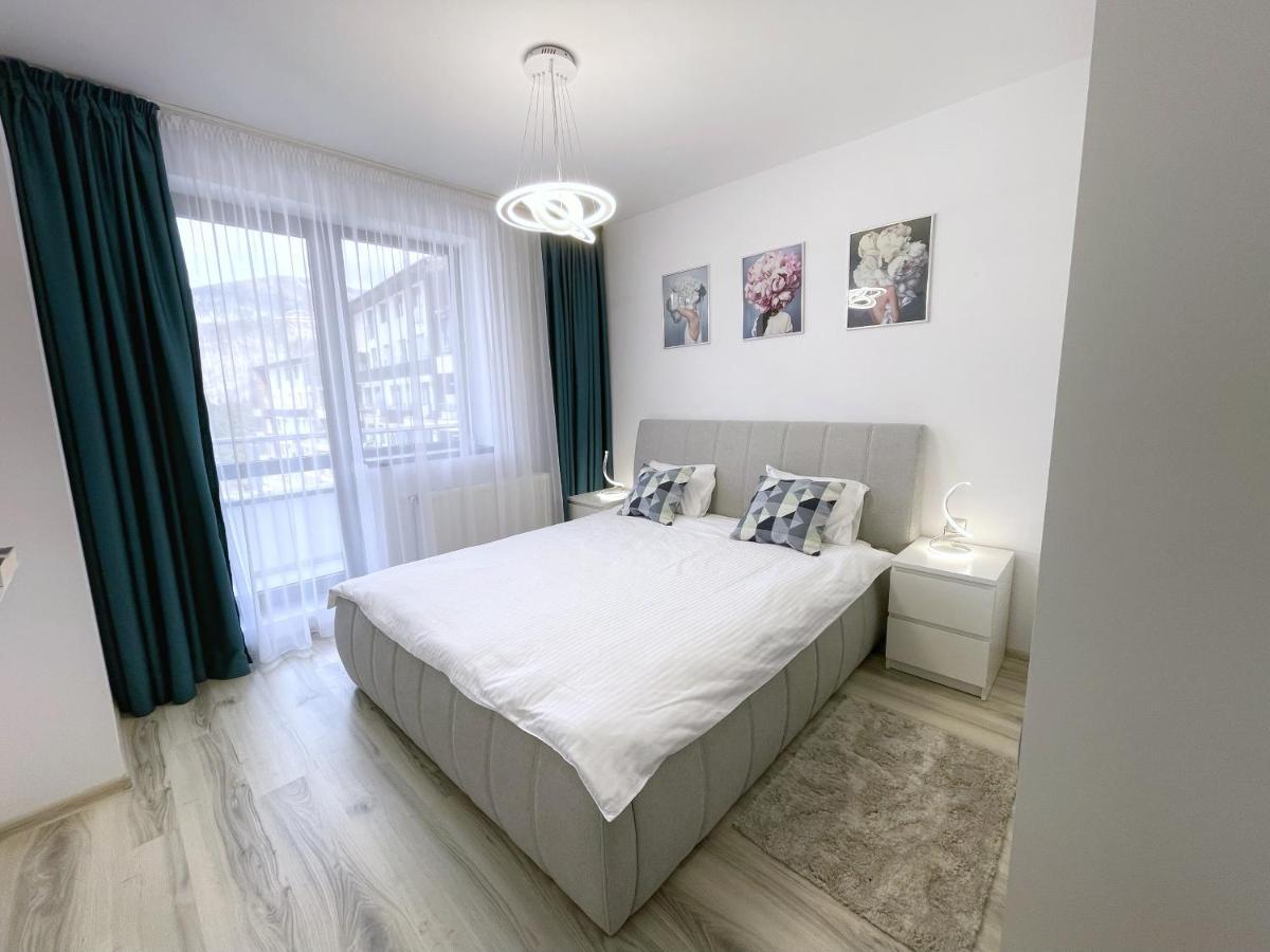 Perfect View Apartment Сіная Екстер'єр фото